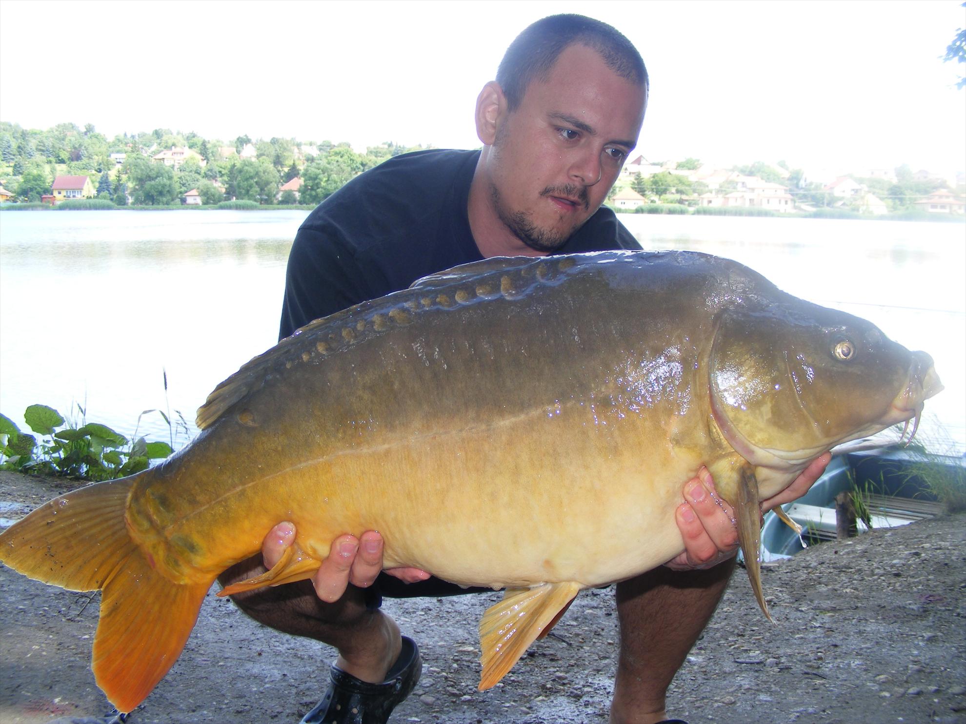 Harsanyi 2013 - dscf6230.JPG